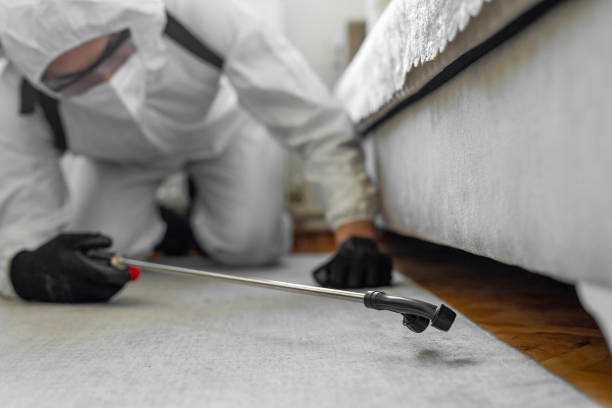 Professional Bed Bug Control technician working in Clayton, AL